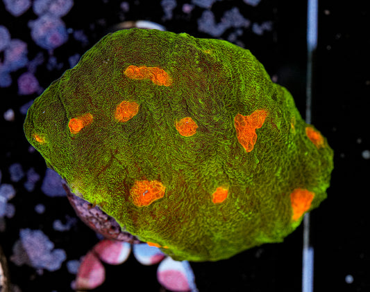 Space Invader Chalice 2