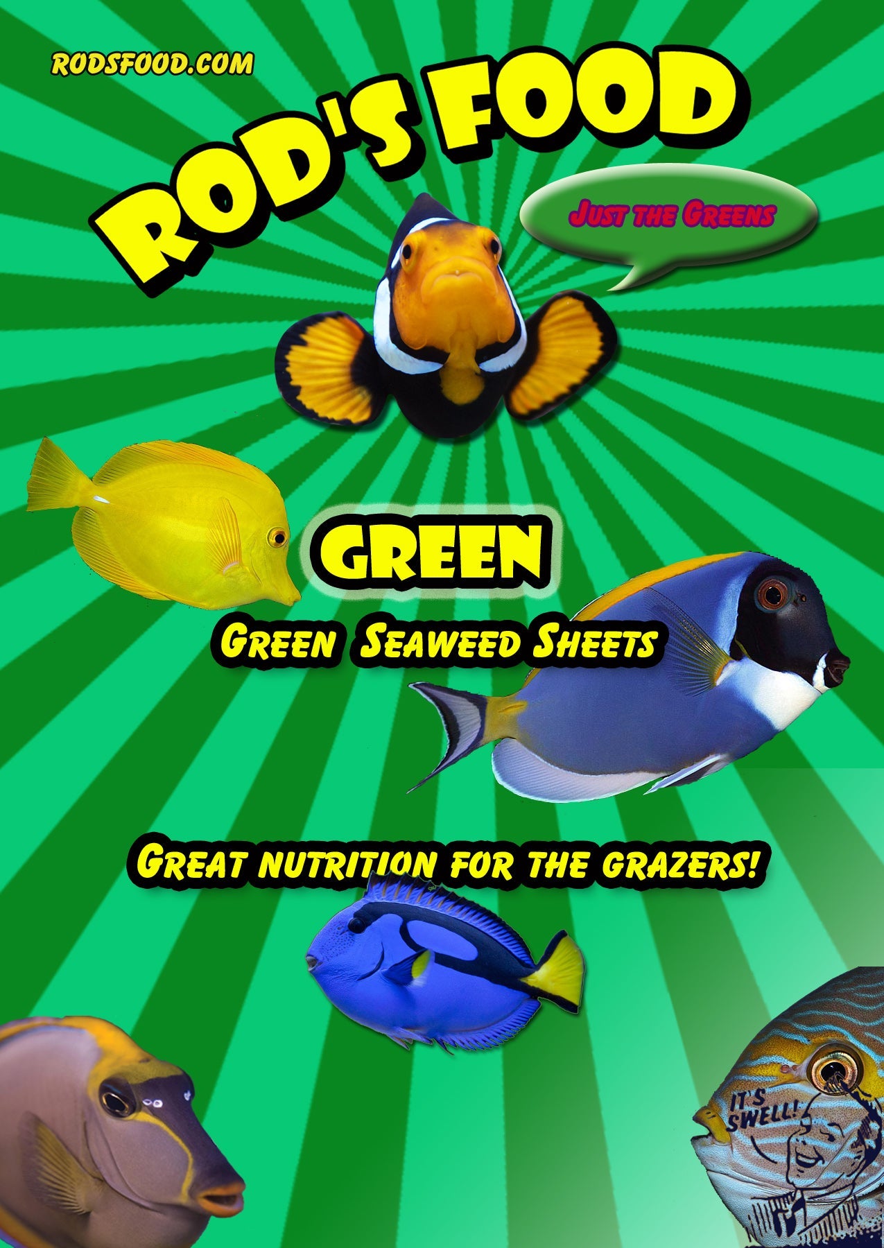 Rod's Food Seaweed 30gram - Green