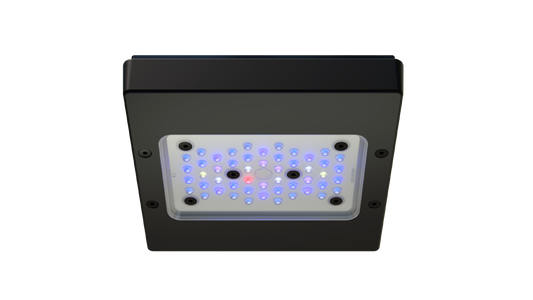 Ecotech Radion XR15 G6 BLUE LED Light