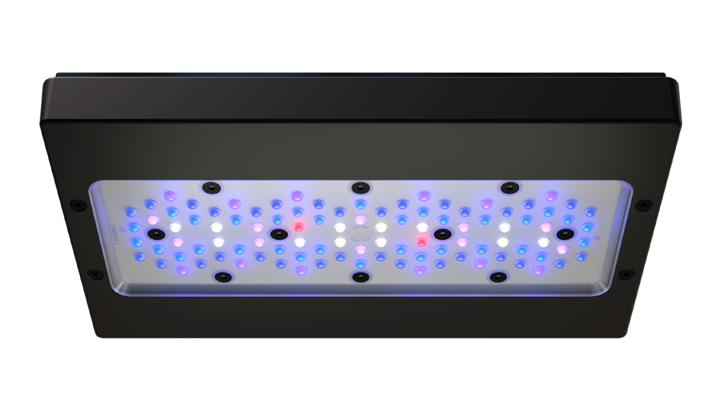 Ecotech Radion XR30 G6 BLUE LED Light