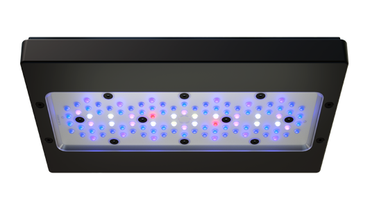 Ecotech Radion XR30 G6 BLUE LED Light