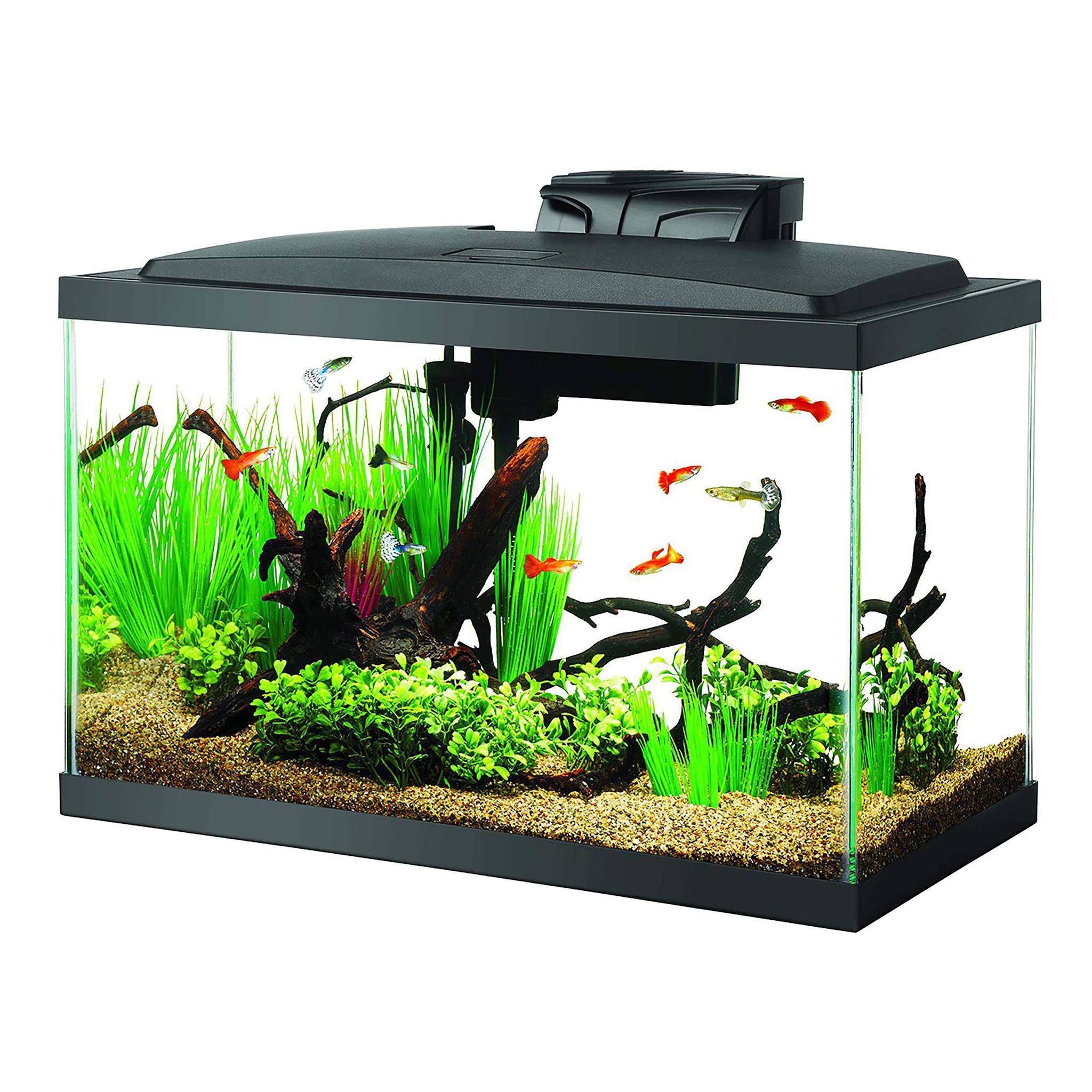 Aqueon LED Aquarium Kit