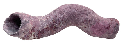 Tropic Eden Morroca Cocoworm Fish Home Tube - L