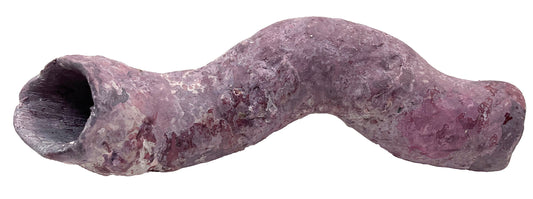 Tropic Eden Morroca Cocoworm Fish Home Tube - L