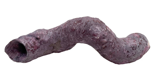 Tropic Eden Morroca Cocoworm Fish Home Tube - Sm