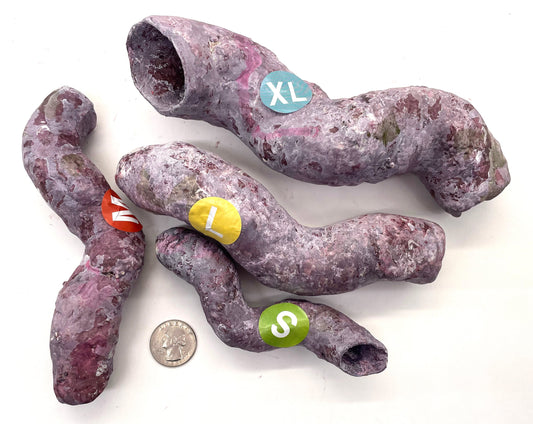 Tropic Eden Morroca Cocoworm Fish Home Tube - Sm