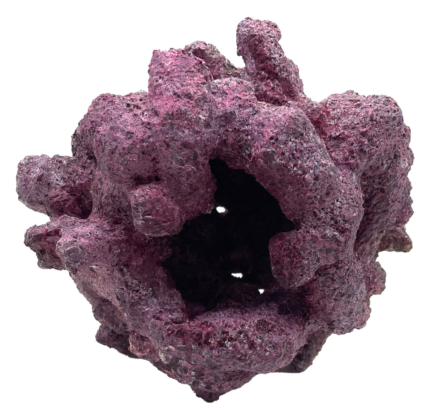 Tropic Eden Morroca Reef Cradle Rock - Medium ONE Piece (3.5 - 4.5 lbs)