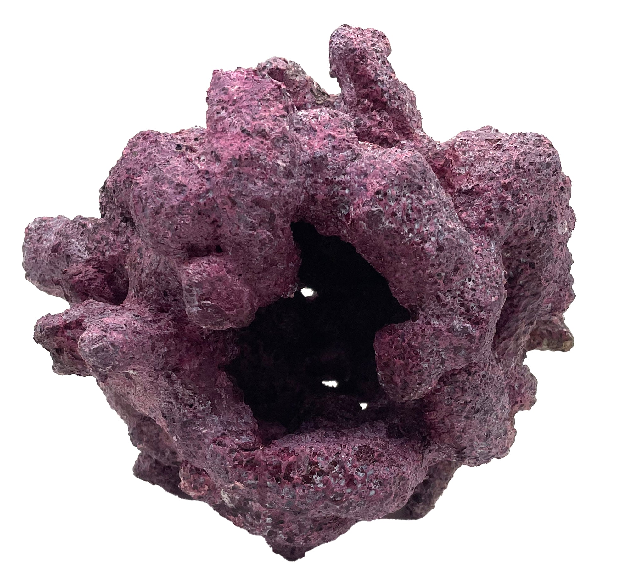 Tropic Eden Morroca Reef Cradle Rock - Medium ONE Piece (3.5 - 4.5 lbs)