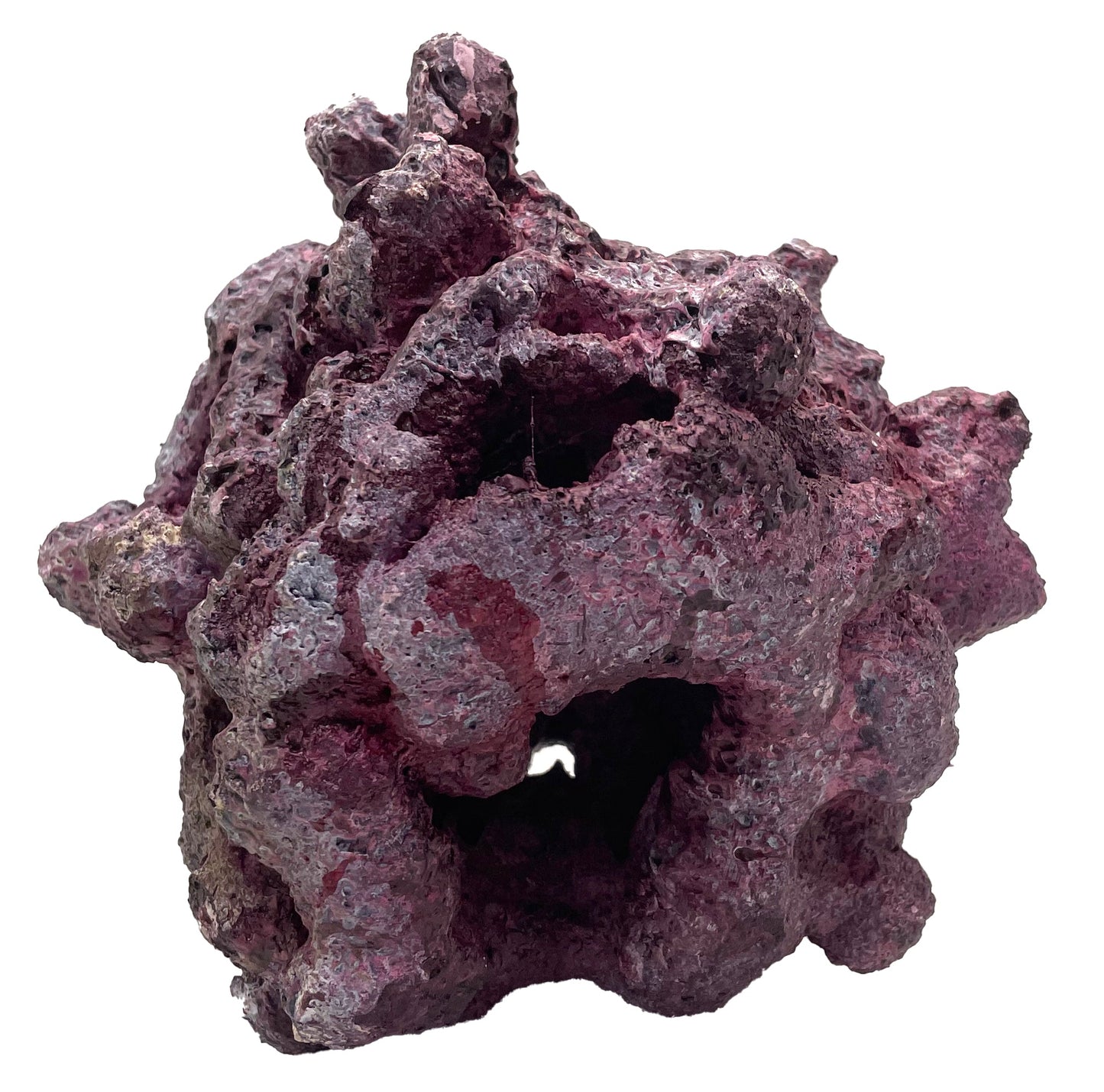 Tropic Eden Morroca Reef Cradle Rock - Medium ONE Piece (3.5 - 4.5 lbs)