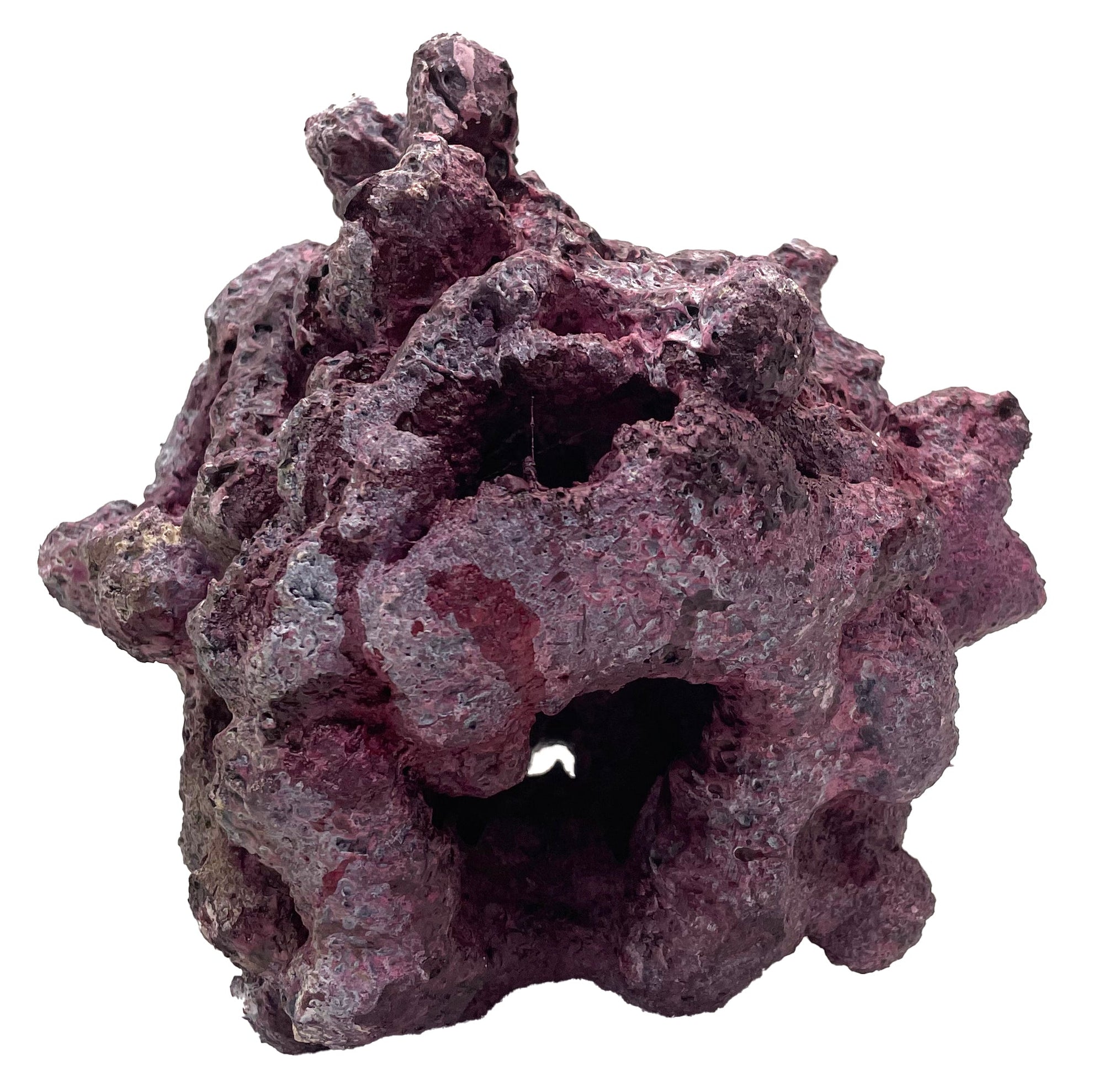 Tropic Eden Morroca Reef Cradle Rock - Medium ONE Piece (3.5 - 4.5 lbs)