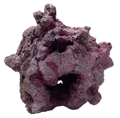Tropic Eden Morroca Reef Cradle Rock - Medium ONE Piece (3.5 - 4.5 lbs)
