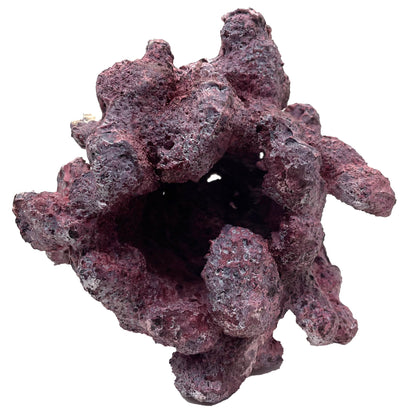 Tropic Eden Morroca Reef Cradle Rock - Medium ONE Piece (3.5 - 4.5 lbs)