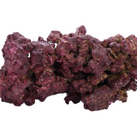 Real Reef DRY Rock - 10LB BOX