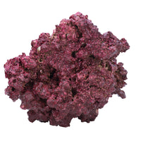 Real Reef DRY Rock - 10LB BOX