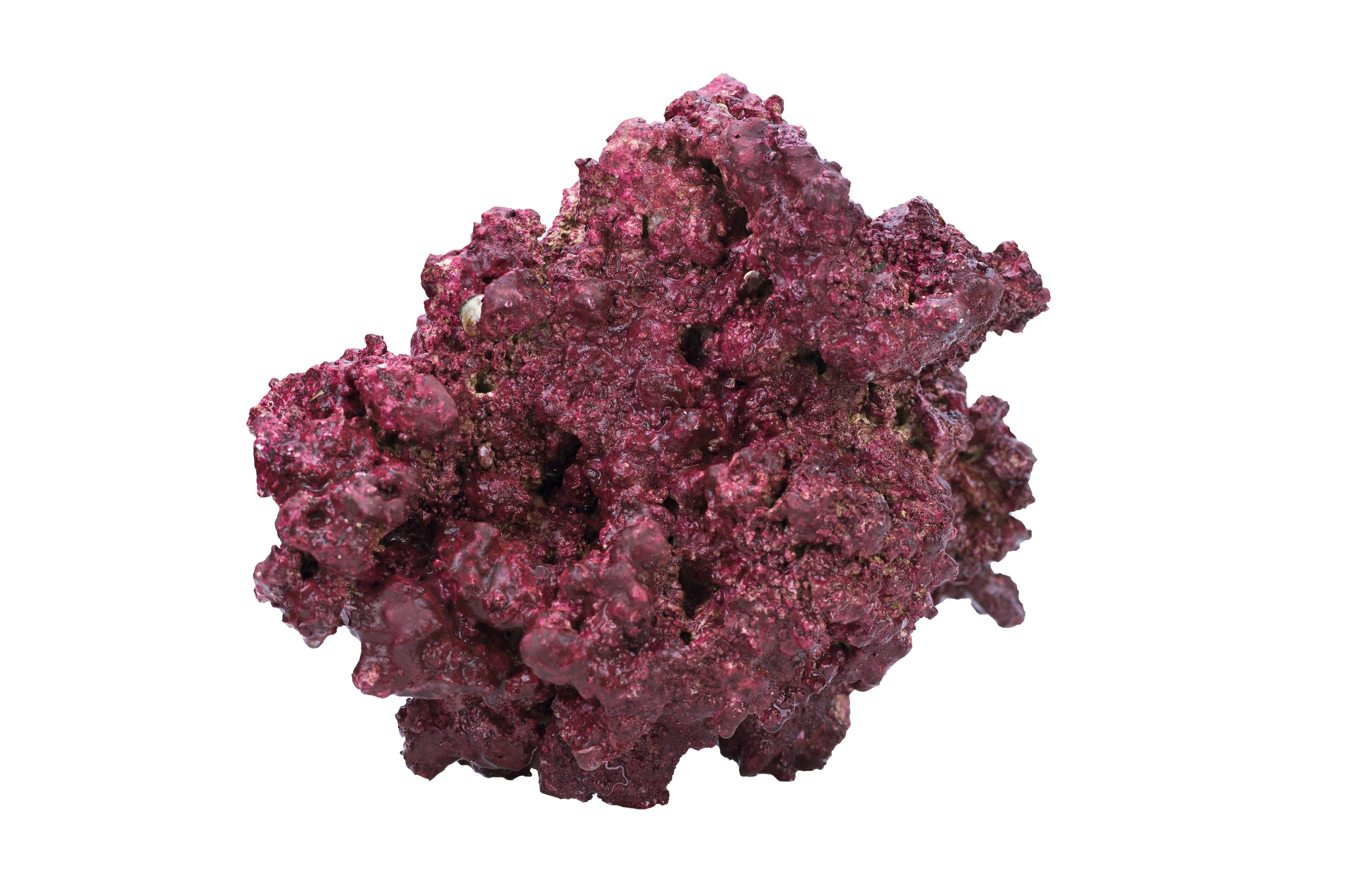 Real Reef DRY Rock - 10LB BOX