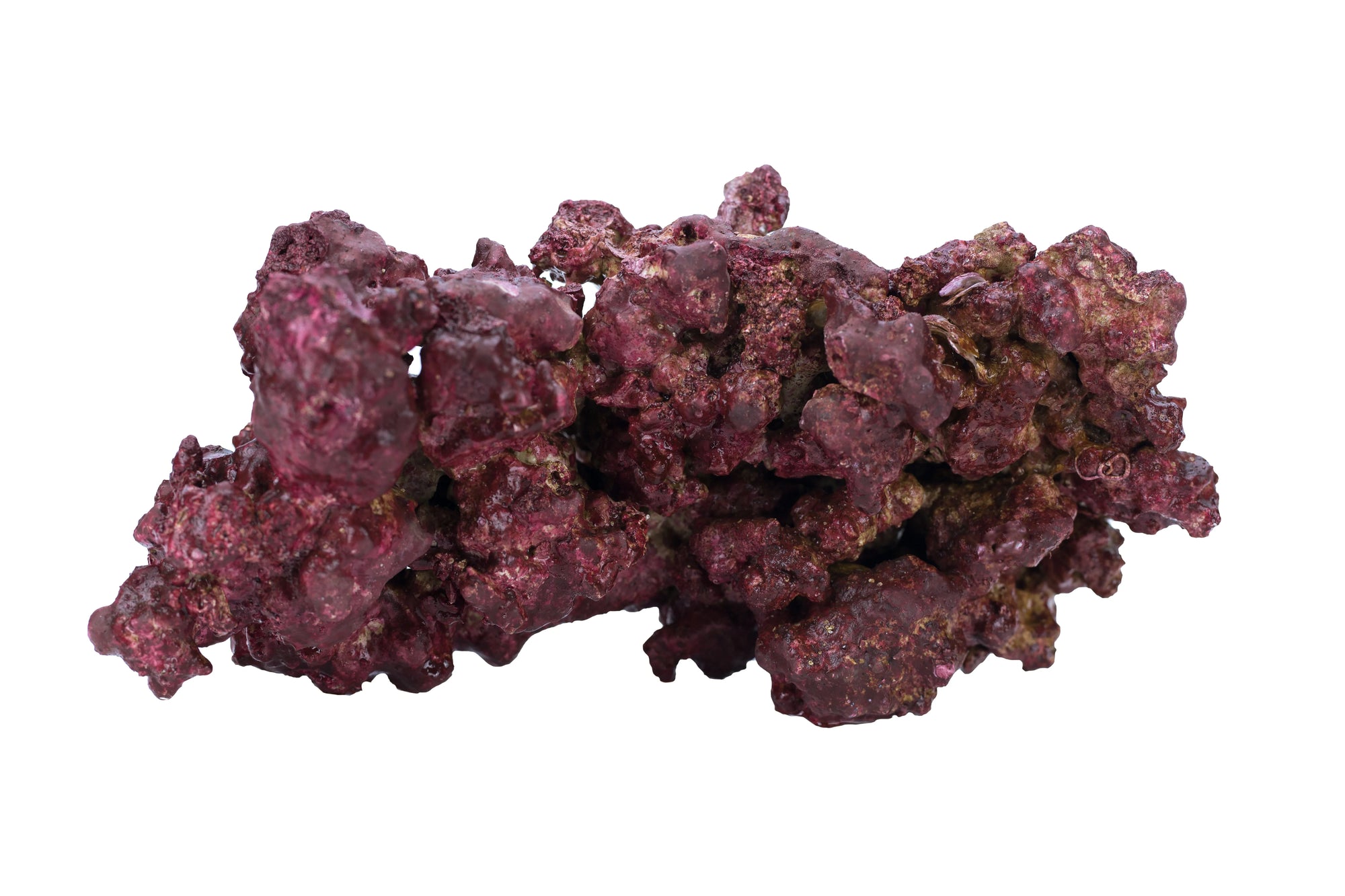 Real Reef DRY Rock - 40LB BOX (Free Ground Shipping)
