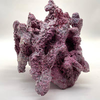 Tropic Eden Morroca Irregular Rock - Medium - ONE Piece (approx 4lbs)