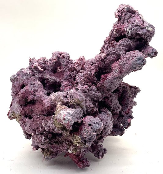 Tropic Eden Morroca Irregular Rock 1 Extension - Med - ONE Piece (4.1-4.8lbs)