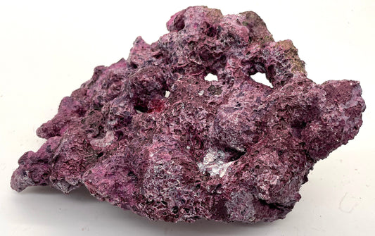 Tropic Eden Morroca Pedestal Shelf Rock - Small - ONE Piece (2.5-3.2bs)