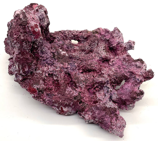 Tropic Eden Morroca Pedestal Shelf Rock - Small - ONE Piece (2.5-3.2bs)