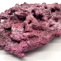 Tropic Eden Morroca Shelf Rock - Large - ONE Piece (5.2-6.77lbs)