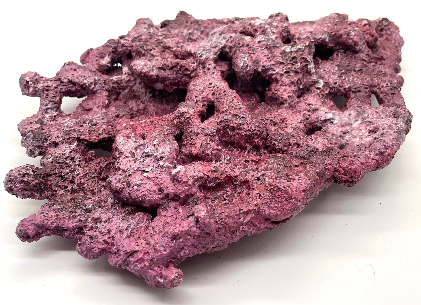 Tropic Eden Morroca Shelf Rock - Large - ONE Piece (5.2-6.77lbs)