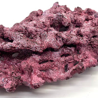 Tropic Eden Morroca Shelf Rock - Large - ONE Piece (5.2-6.77lbs)