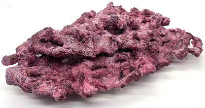 Tropic Eden Morroca Shelf Rock - Large - ONE Piece (5.2-6.77lbs)