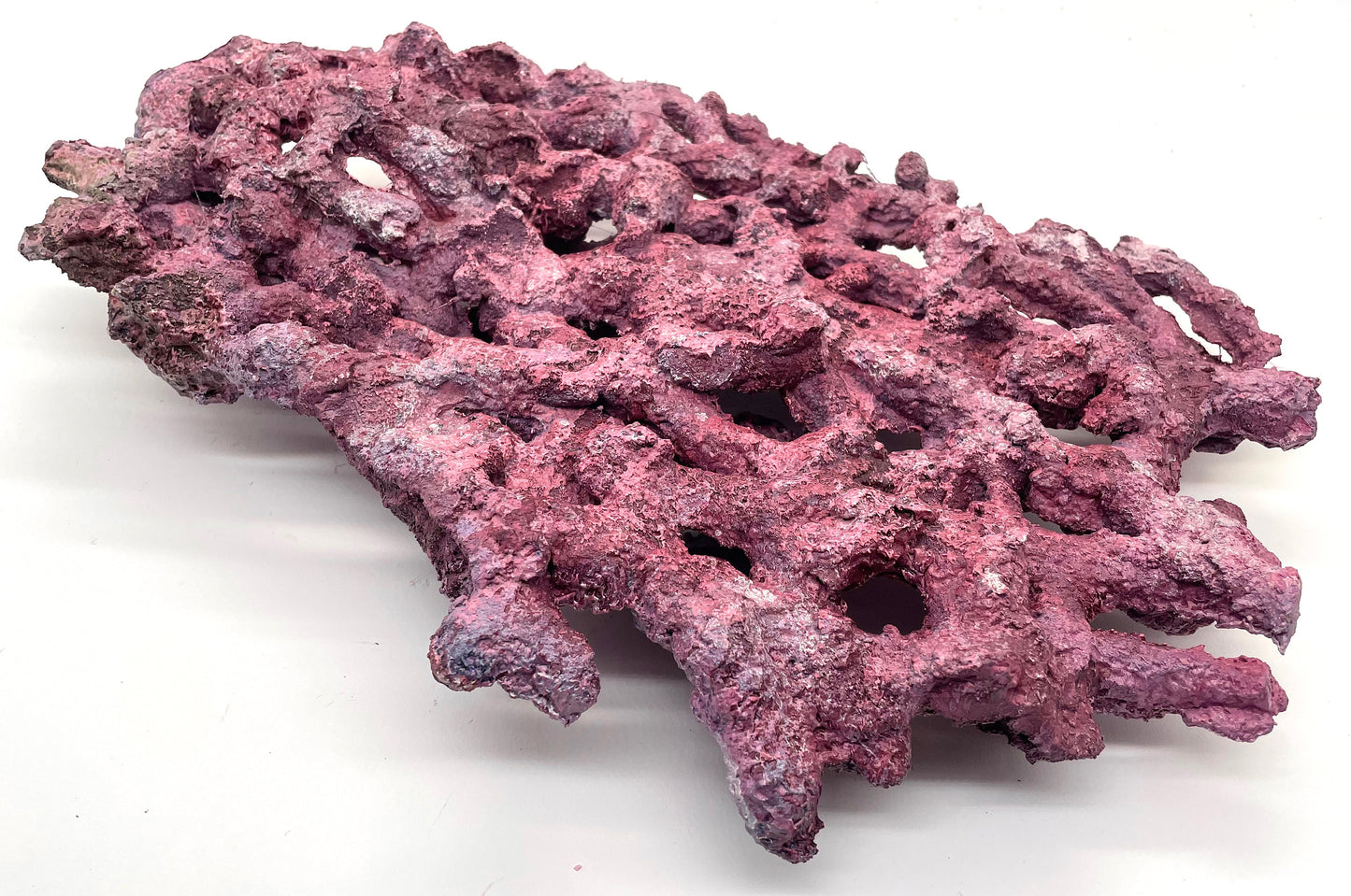 Tropic Eden Morroca Shelf Rock - Large - ONE Piece (5.2-6.77lbs)