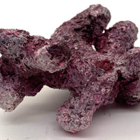 Tropic Eden Morroca Irregular Rock - Extra Extra Small - ONE Tiny Piece (.3-.4lbs)