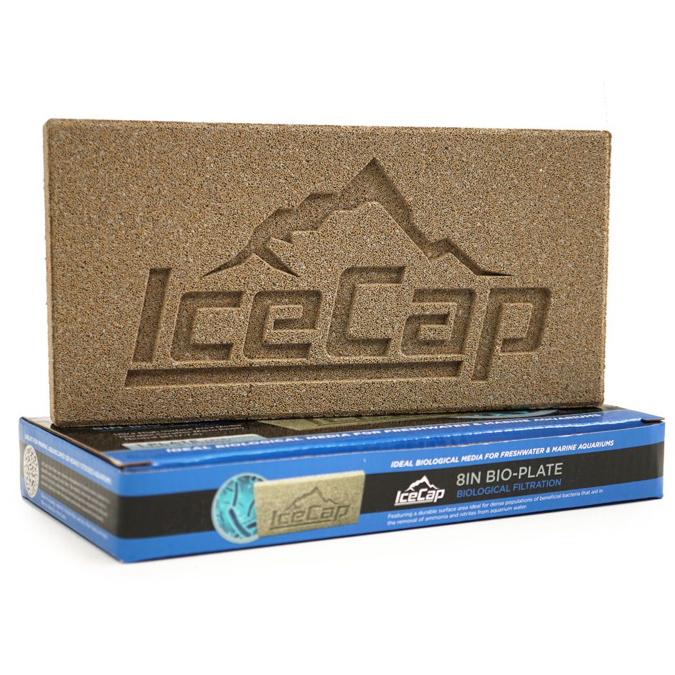 Icecap Bio-Plate 8"