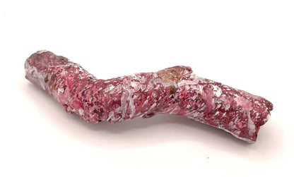 Tropic Eden Morroca Cocoworm Fish Home Tube - Med