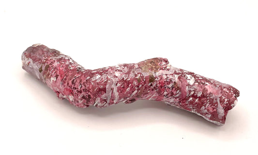 Tropic Eden Morroca Cocoworm Fish Home Tube - Med