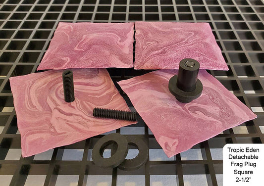 Tropic Eden Detachable Coral Frag Plug Square 2.5" (6/pack)