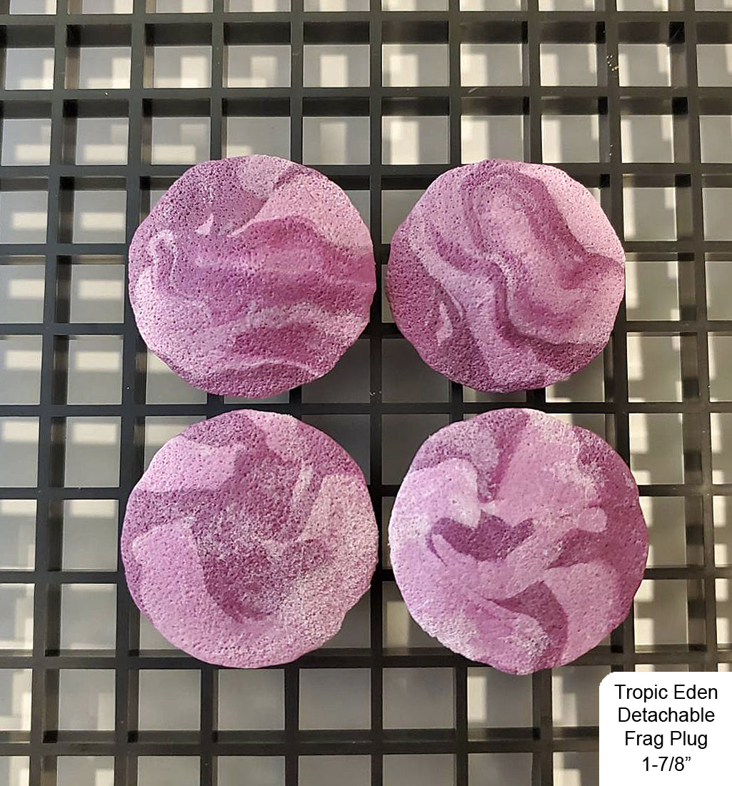 Tropic Eden Detachable Coral Frag Plug Round 1-7/8" (10/pack)