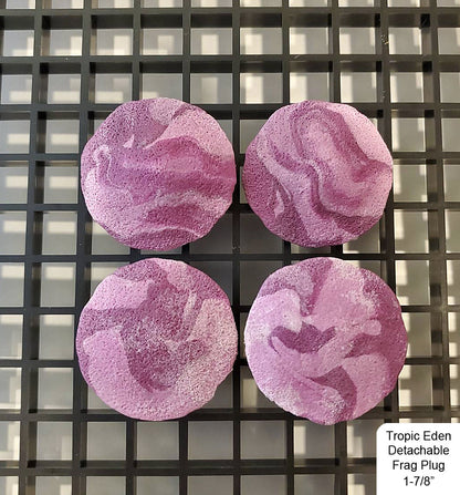 Tropic Eden Detachable Coral Frag Plug Round 1-7/8" (10/pack)