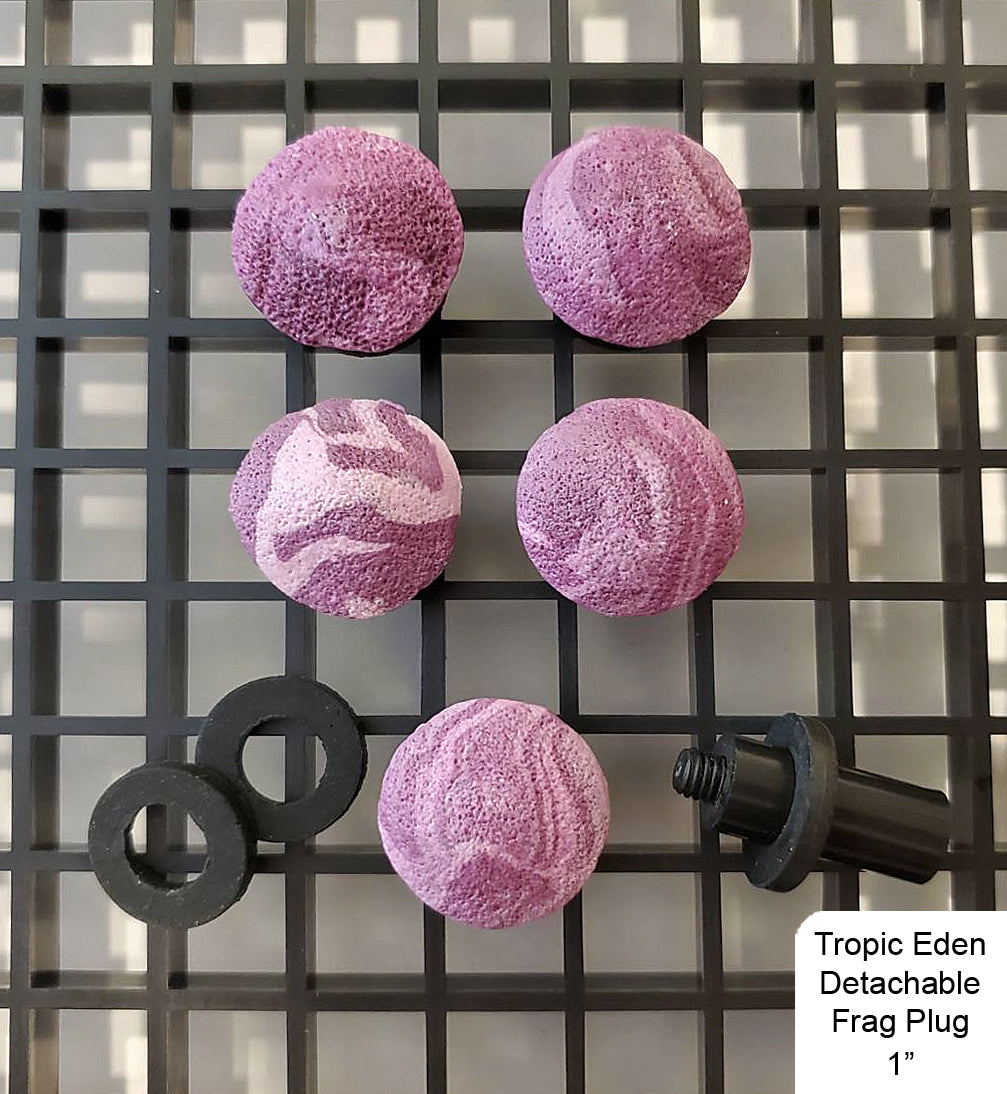 Tropic Eden Detachable Coral Frag Plug Round - 1" (12/pack)