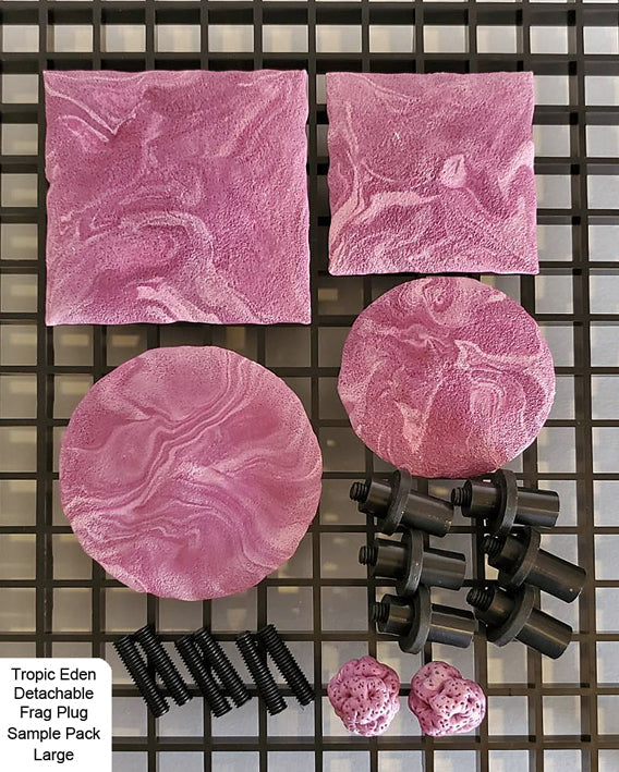 Tropic Eden Detachable Coral Frag Plug - Sample Pack L (6 units)