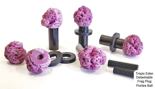 Tropic Eden Detachable Coral Frag Plug - PORITES (6/pack)