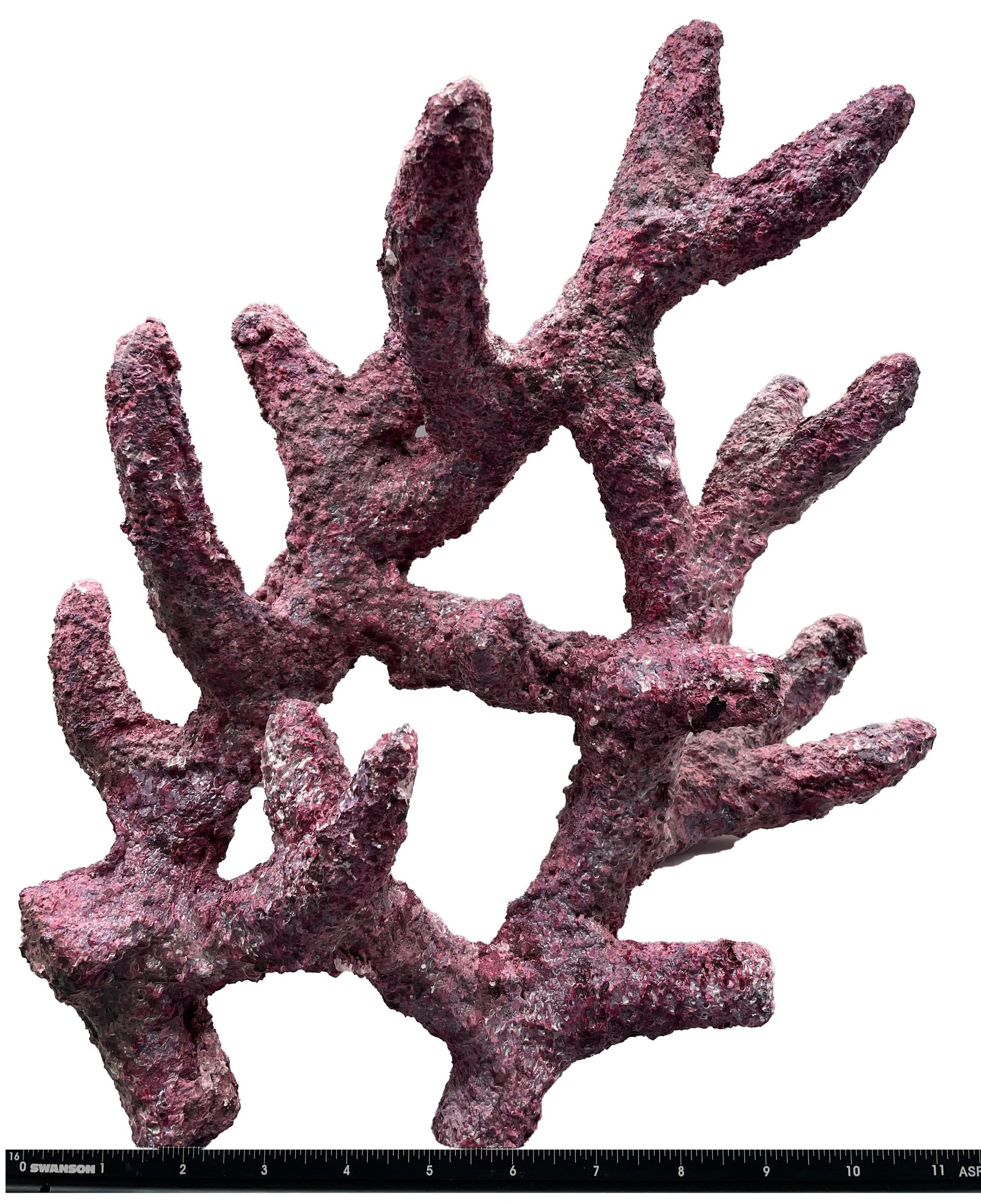 Tropic Eden Morroca Rock - Shrub Branch 14-16"
