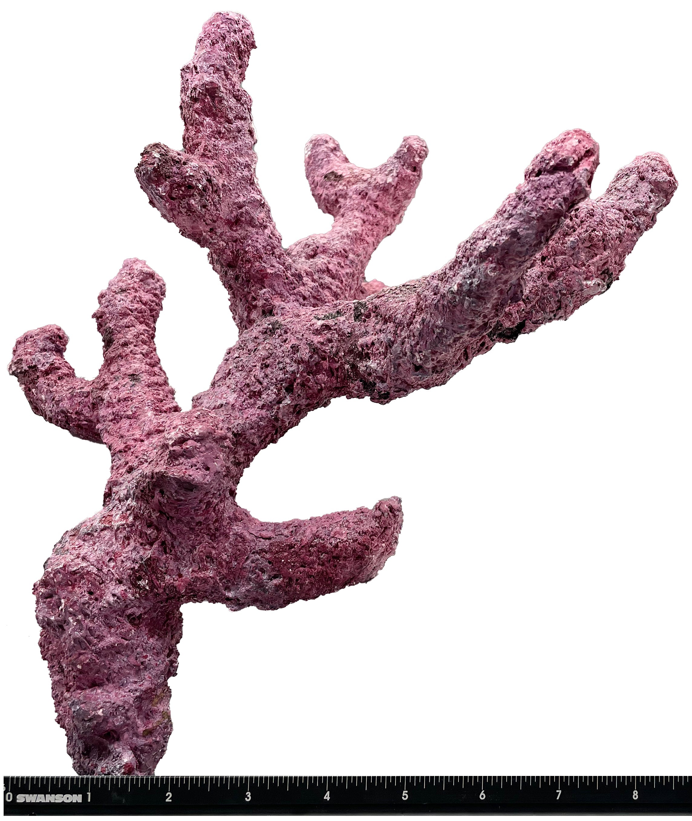 Tropic Eden Morroca Rock - Regular Branch 10-12"