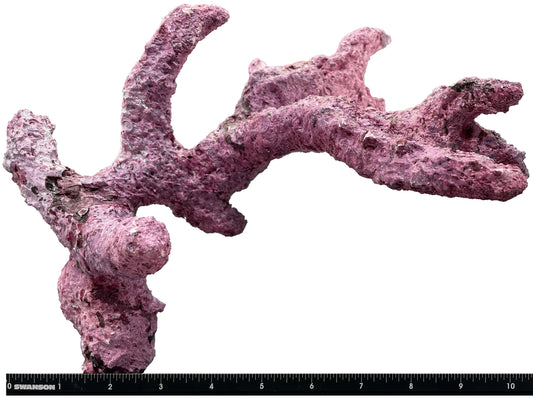 Tropic Eden Morroca Rock - Regular Branch 10-12"