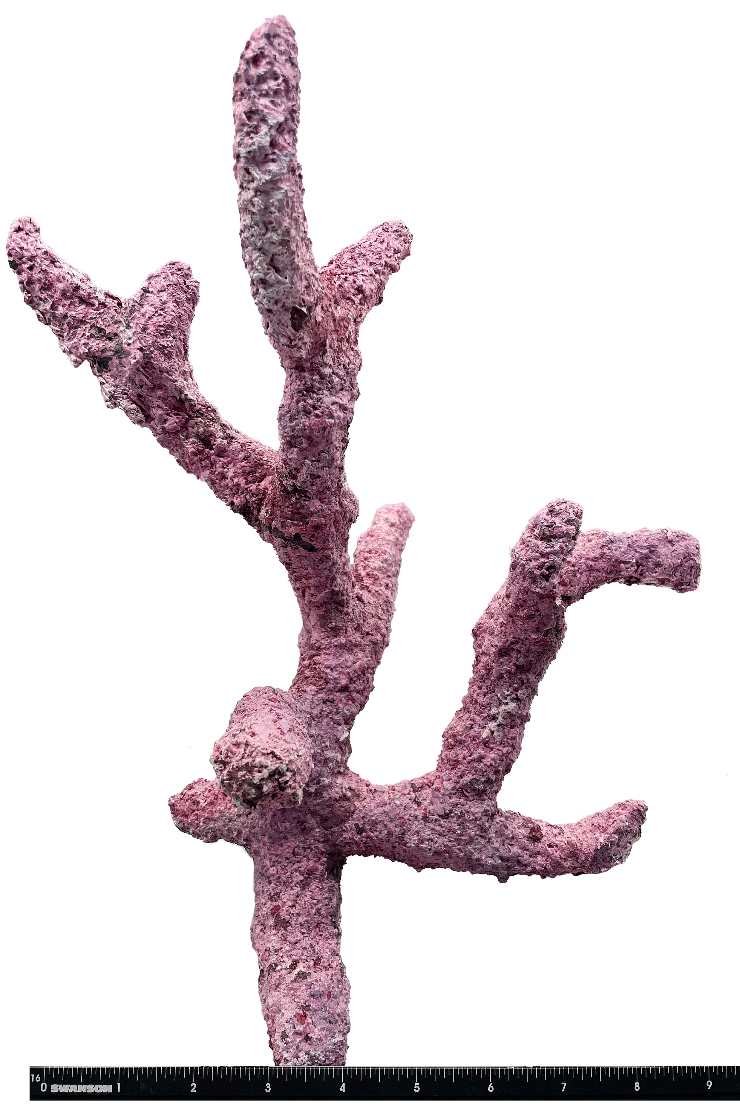 Tropic Eden Morroca Rock - Regular Branch 12-14"