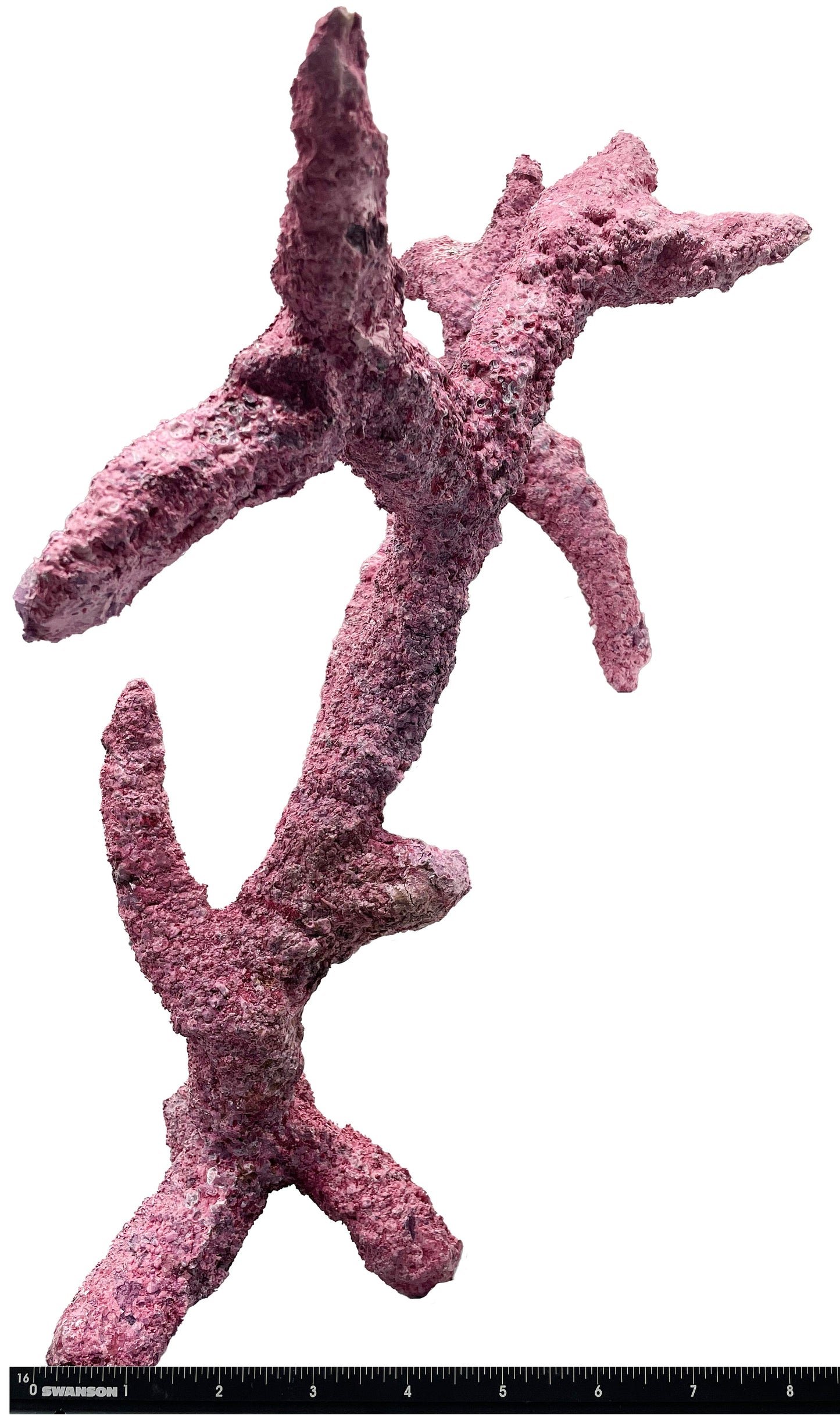 Tropic Eden Morroca Rock - Regular Branch 14-16"