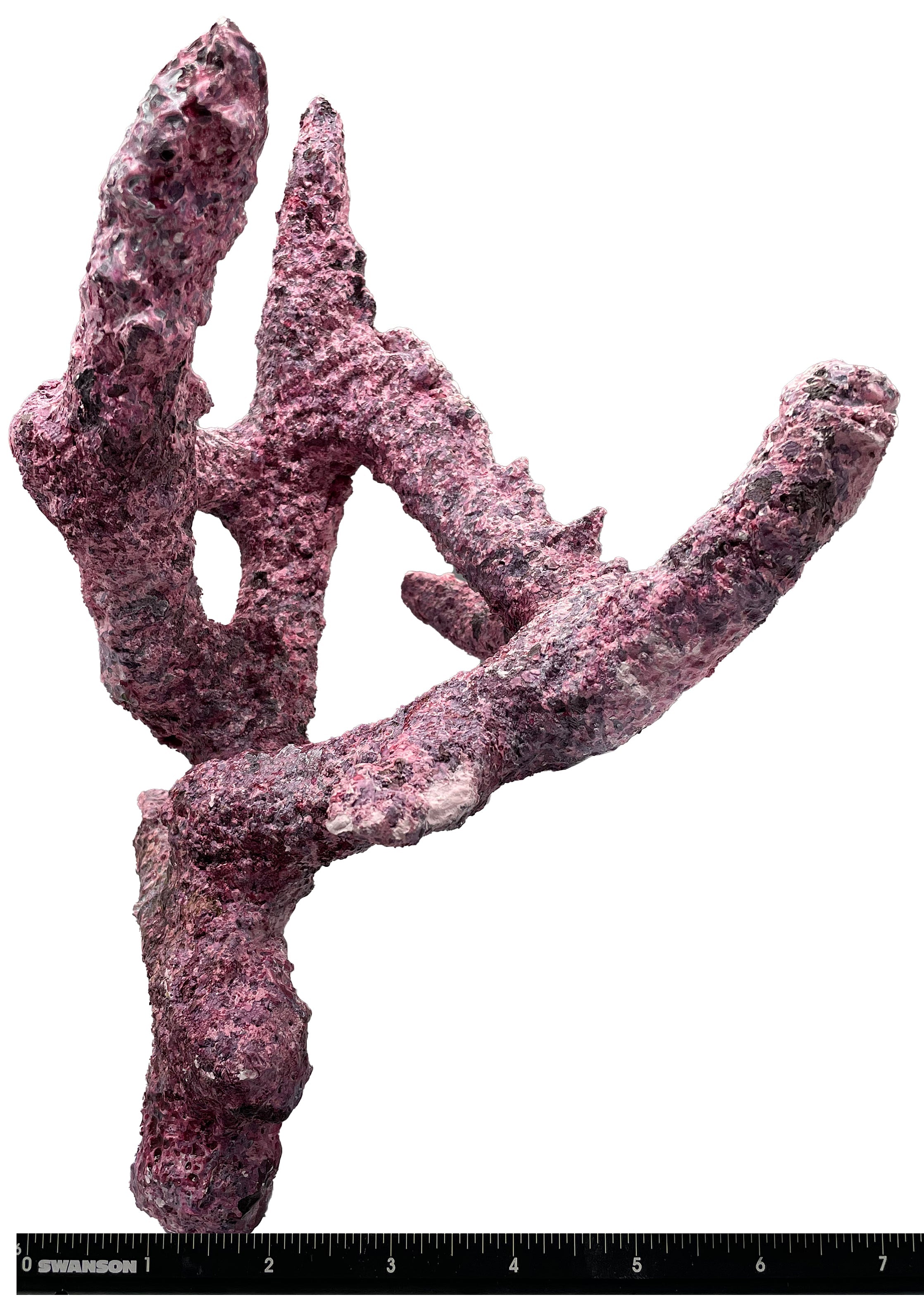 Tropic Eden Morroca Branch Rock - Tripod Long Stem 10"-12"