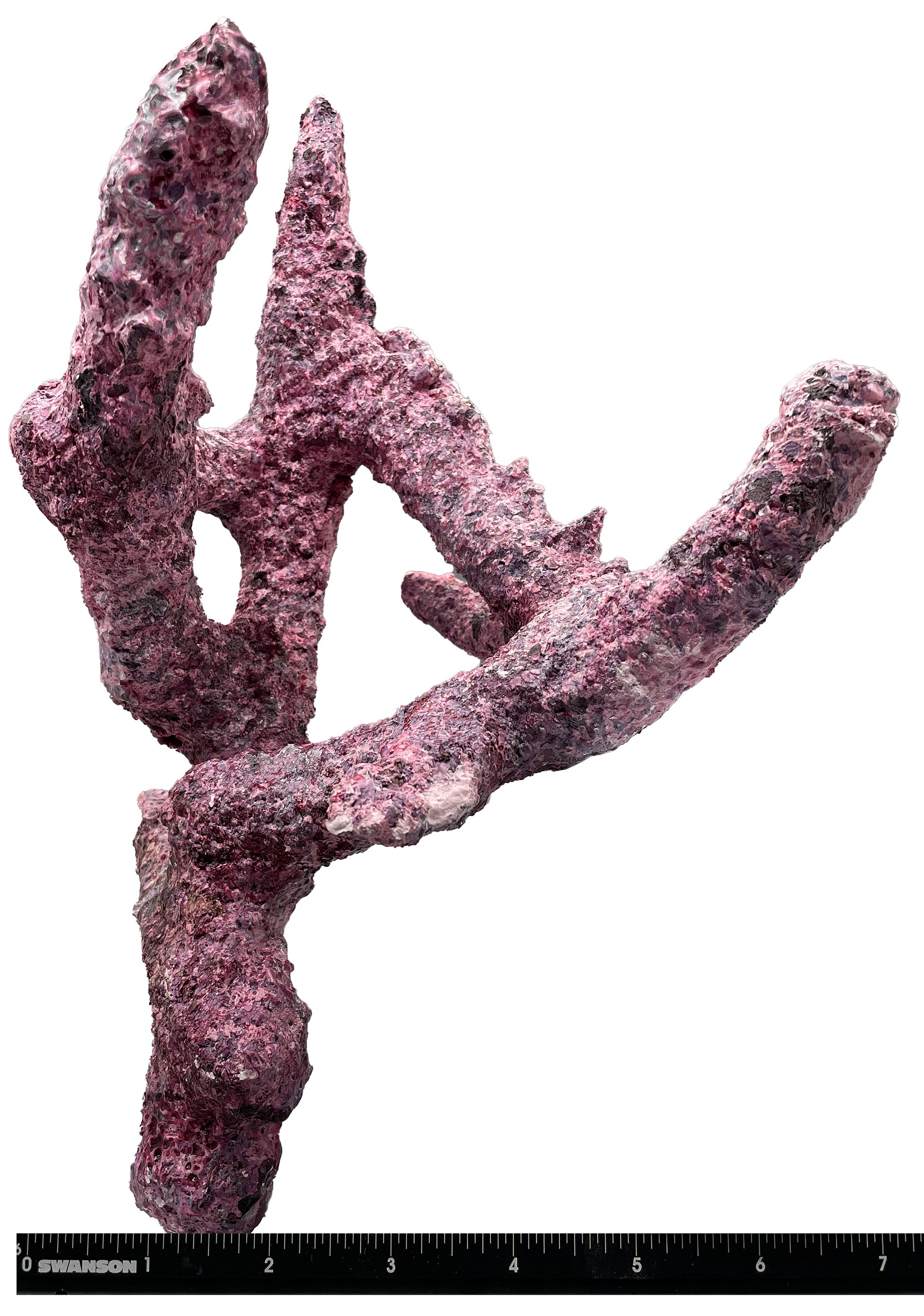 Tropic Eden Morroca Branch Rock - Tripod Long Stem 10"-12"