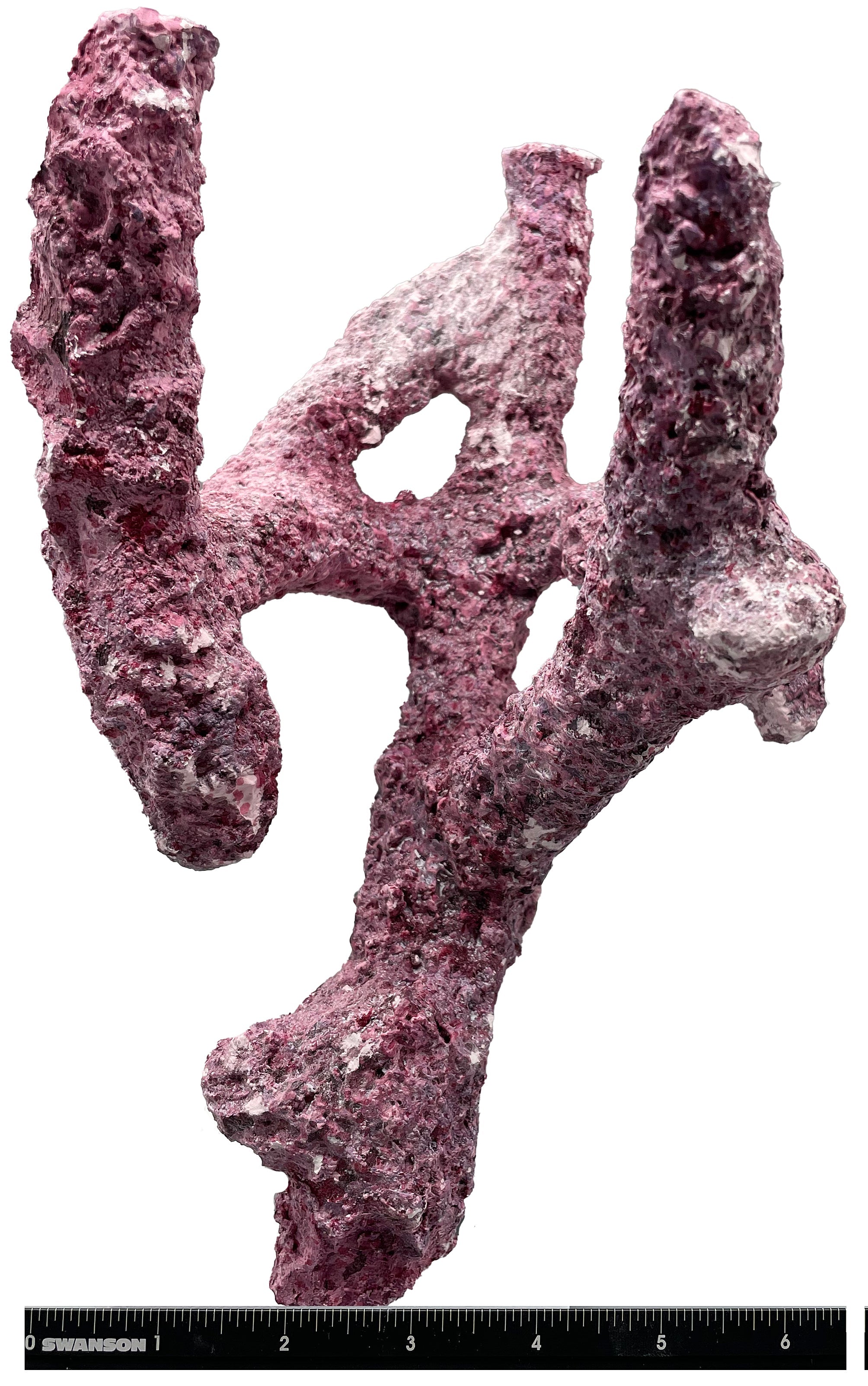 Tropic Eden Morroca Branch Rock - Tripod Long Stem 10"-12"