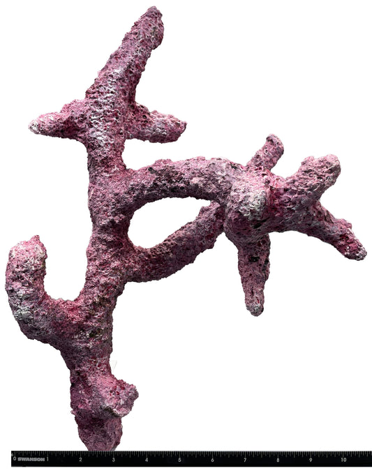 Tropic Eden Morroca Branch Rock - Tripod Long Stem 12"- 14"