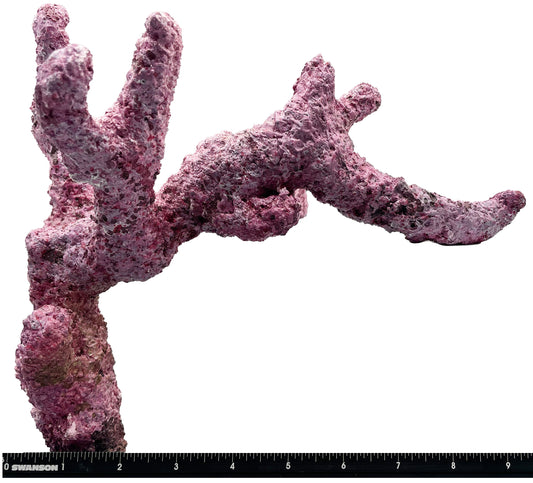 Tropic Eden Morroca Branch 3 Pieces - Pack #1