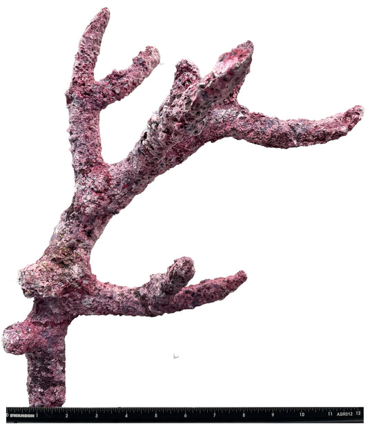 Tropic Eden Morroca Branch 3 Pieces - Pack #1